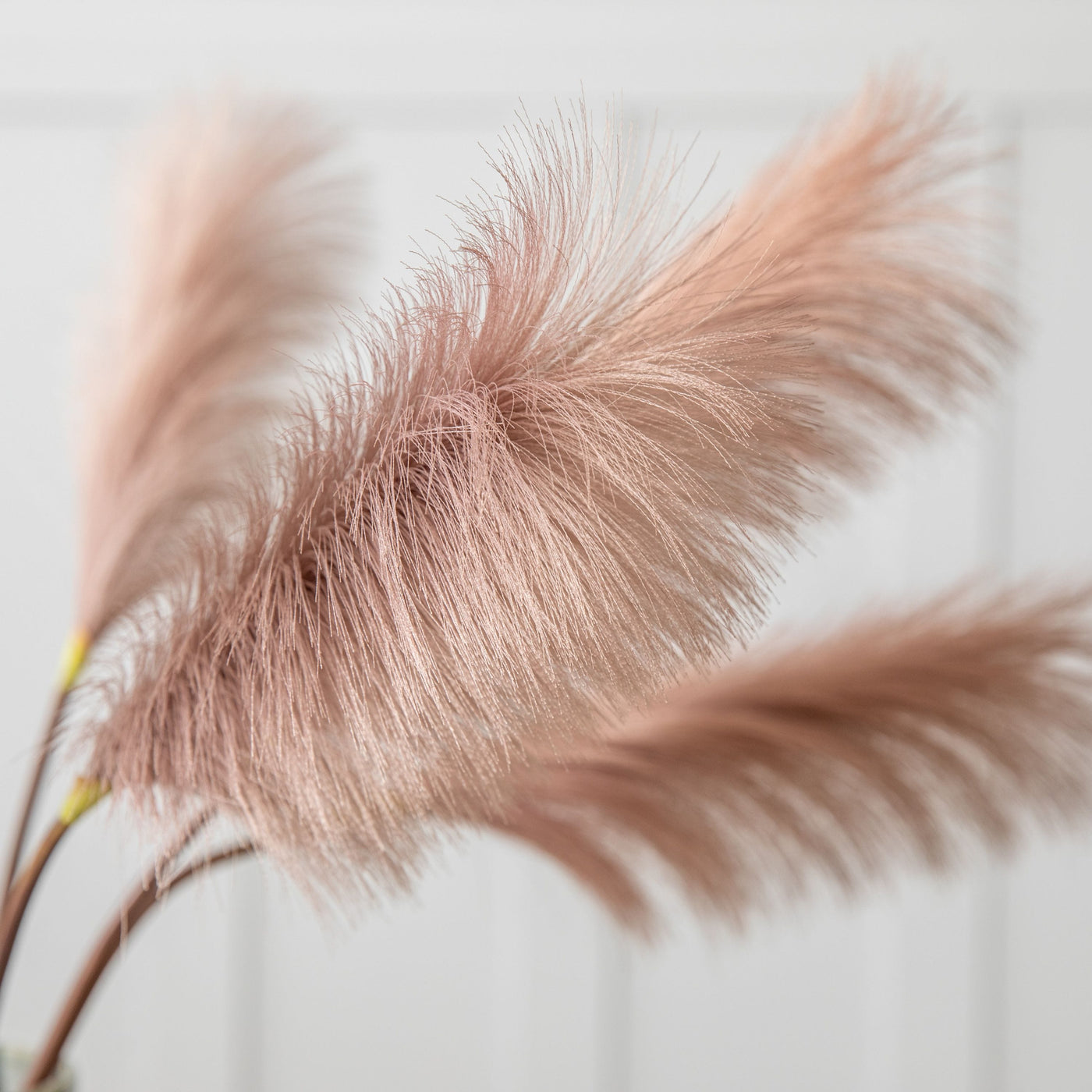 Bodhi Accessories Goma Soft Feather Stem Dark Blush (5pk) House of Isabella UK