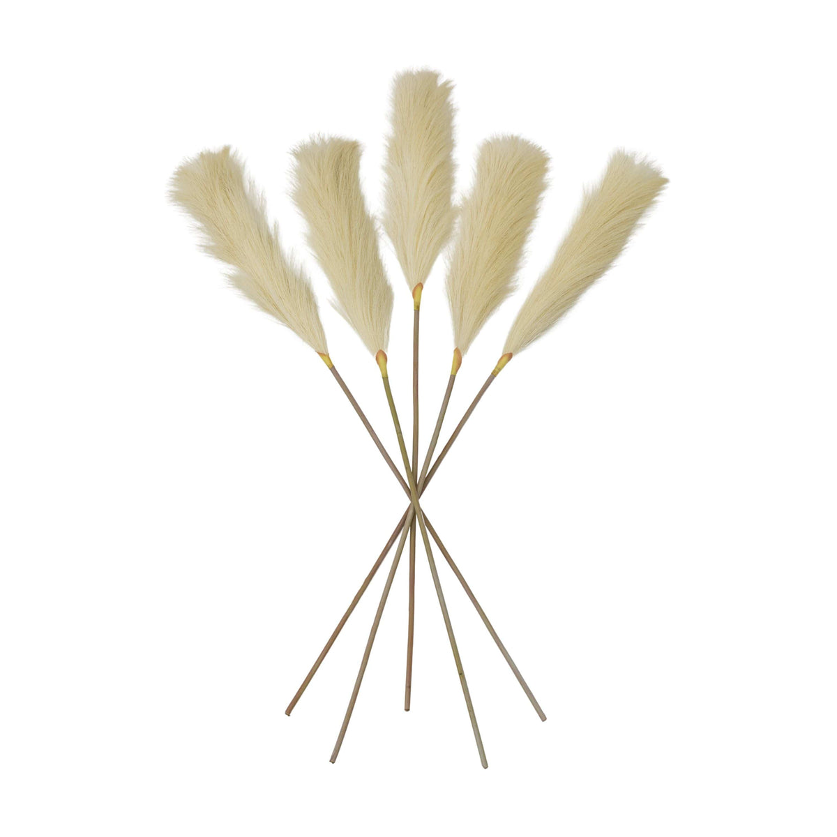 Goma Soft Feather Stem Ivory (5pk).