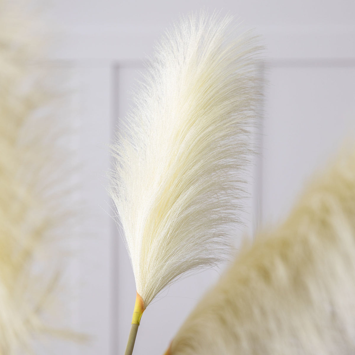 Goma Soft Feather Stem Ivory (5pk).