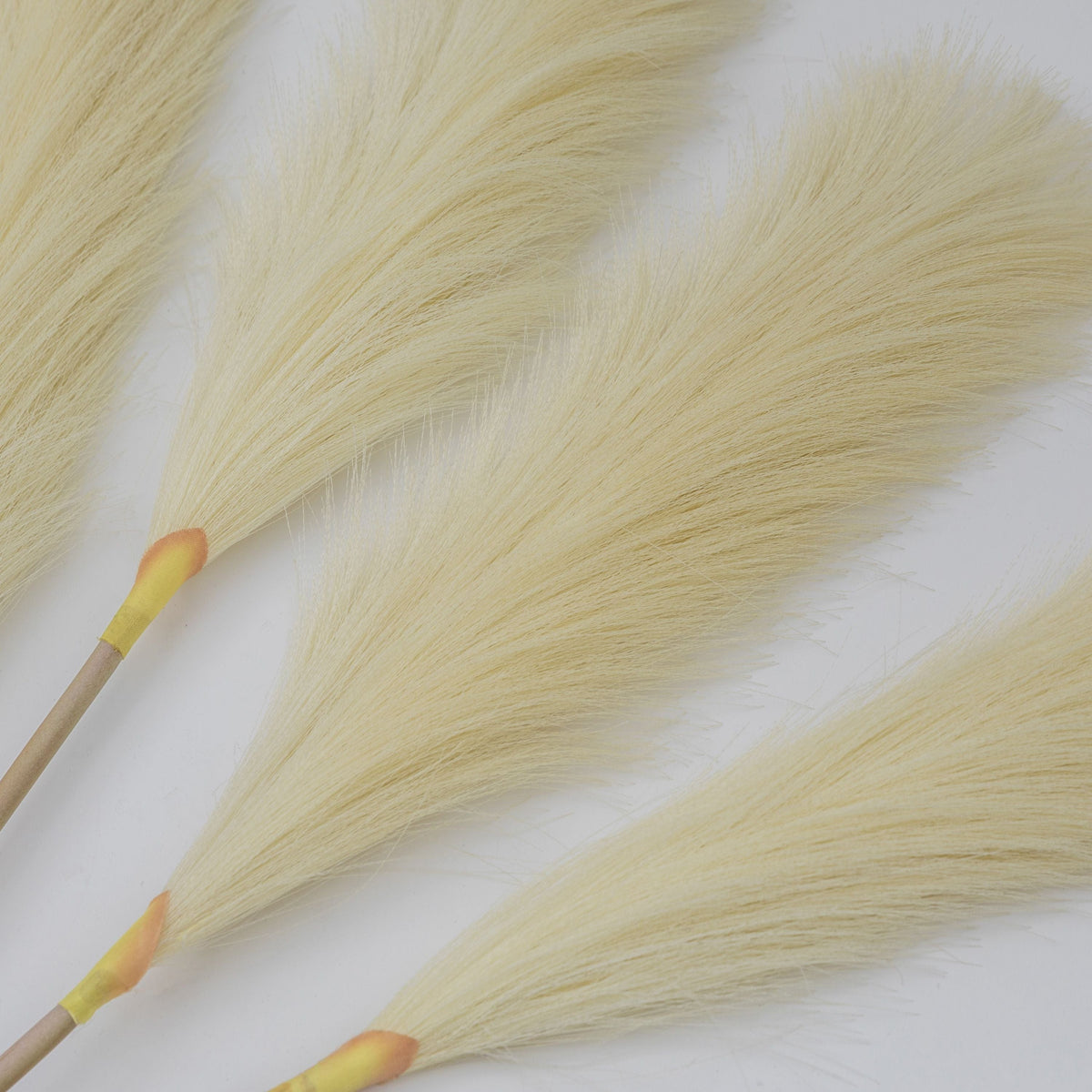 Goma Soft Feather Stem Ivory (5pk).