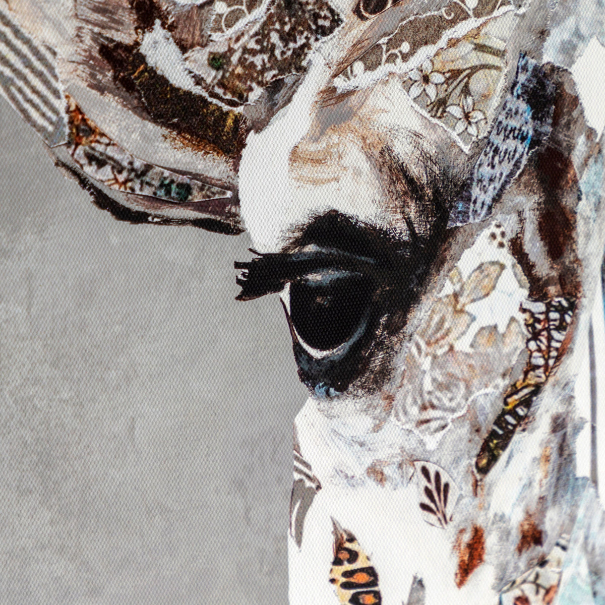 Bodhi Accessories In the Wild I Framed Canvas House of Isabella UK