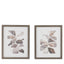 Bodhi Accessories Natures Rhythm Framed Art Set of 2 House of Isabella UK