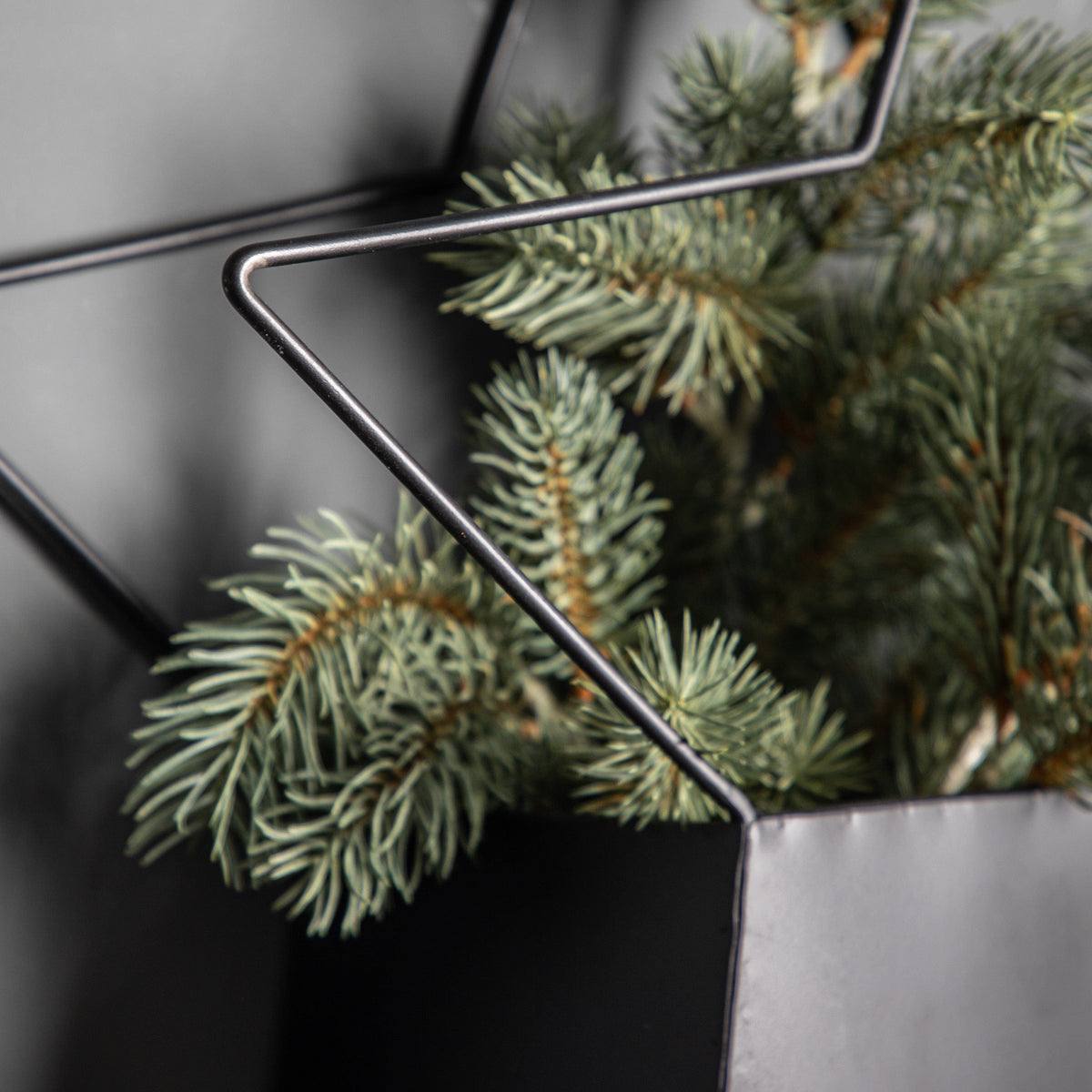 Bodhi Accessories Neptune Star Planter Set of 2 House of Isabella UK