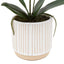 Bodhi Accessories Orchid Cream in Ribbed White Ceramic Pot Small House of Isabella UK