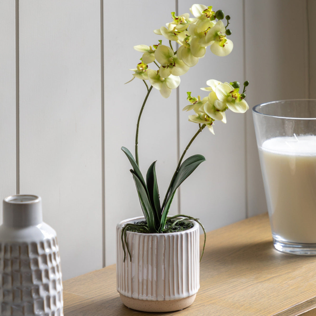 Bodhi Accessories Orchid Cream in Ribbed White Ceramic Pot Small House of Isabella UK