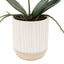 Bodhi Accessories Orchid Cream in Ribbed White Ceramic Pot Small House of Isabella UK