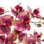Bodhi Accessories Orchid in Moss Ceramic Dot Pot Pink House of Isabella UK