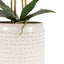 Bodhi Accessories Orchid in Moss Ceramic Dot Pot Pink House of Isabella UK