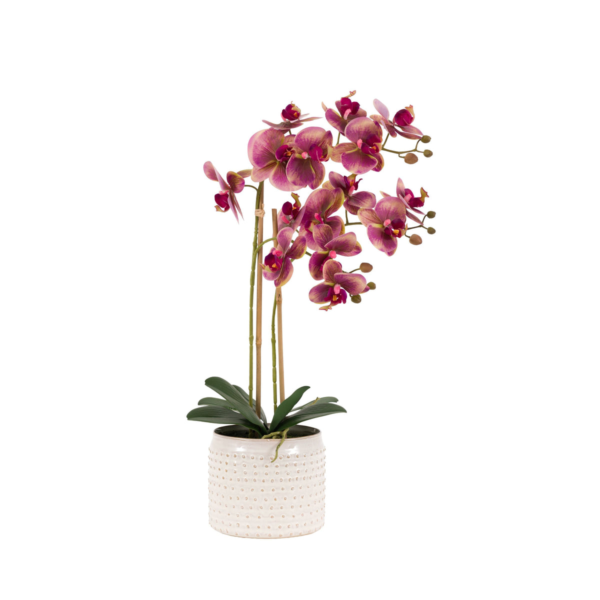 Bodhi Accessories Orchid in Moss Ceramic Dot Pot Pink House of Isabella UK