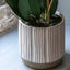 Bodhi Accessories Orchid in White Ribbed Ceramic Pot House of Isabella UK