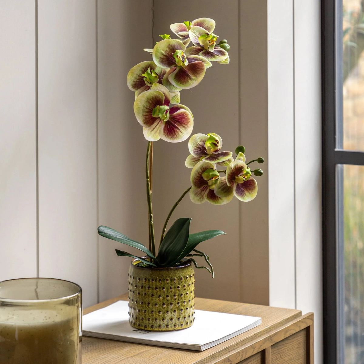 Bodhi Accessories Orchid Multicolour in Moss Ceramic Dot Pot House of Isabella UK