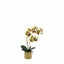 Bodhi Accessories Orchid Multicolour in Moss Ceramic Dot Pot House of Isabella UK