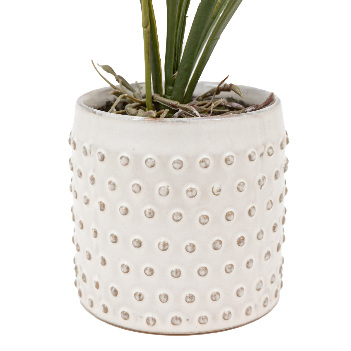 Bodhi Accessories Orchid Orange in White Ceramic Dot Pot House of Isabella UK