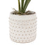 Bodhi Accessories Orchid Orange in White Ceramic Dot Pot House of Isabella UK