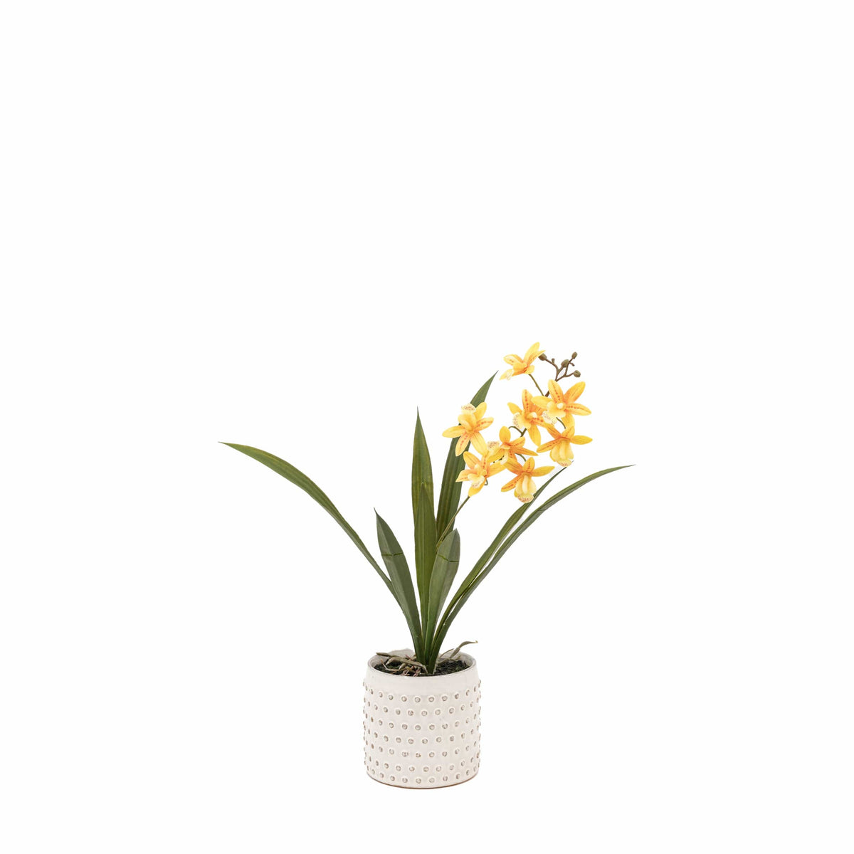 Bodhi Accessories Orchid Orange in White Ceramic Dot Pot House of Isabella UK