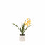 Bodhi Accessories Orchid Orange in White Ceramic Dot Pot House of Isabella UK