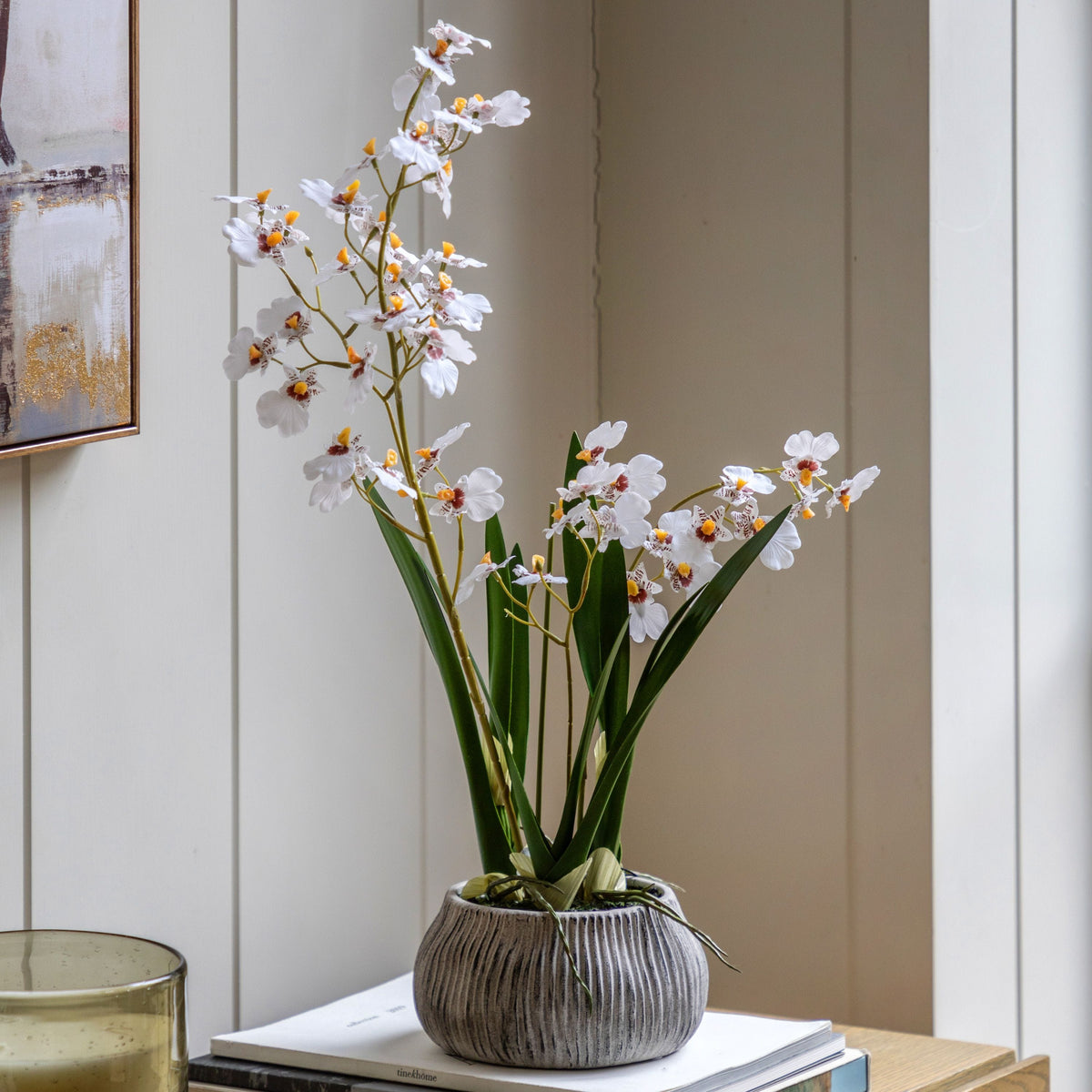 Bodhi Accessories Orchid White in Low Ceramic Pot House of Isabella UK