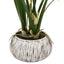 Bodhi Accessories Orchid Yellow in Low Ceramic Pot House of Isabella UK