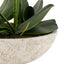 Bodhi Accessories Oversized Orchid in Cement Pot White House of Isabella UK