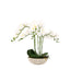 Bodhi Accessories Oversized Orchid in Cement Pot White House of Isabella UK