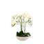 Bodhi Accessories Oversized Orchid in Cement Pot White House of Isabella UK
