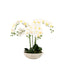 Bodhi Accessories Oversized Orchid in Cement Pot White House of Isabella UK