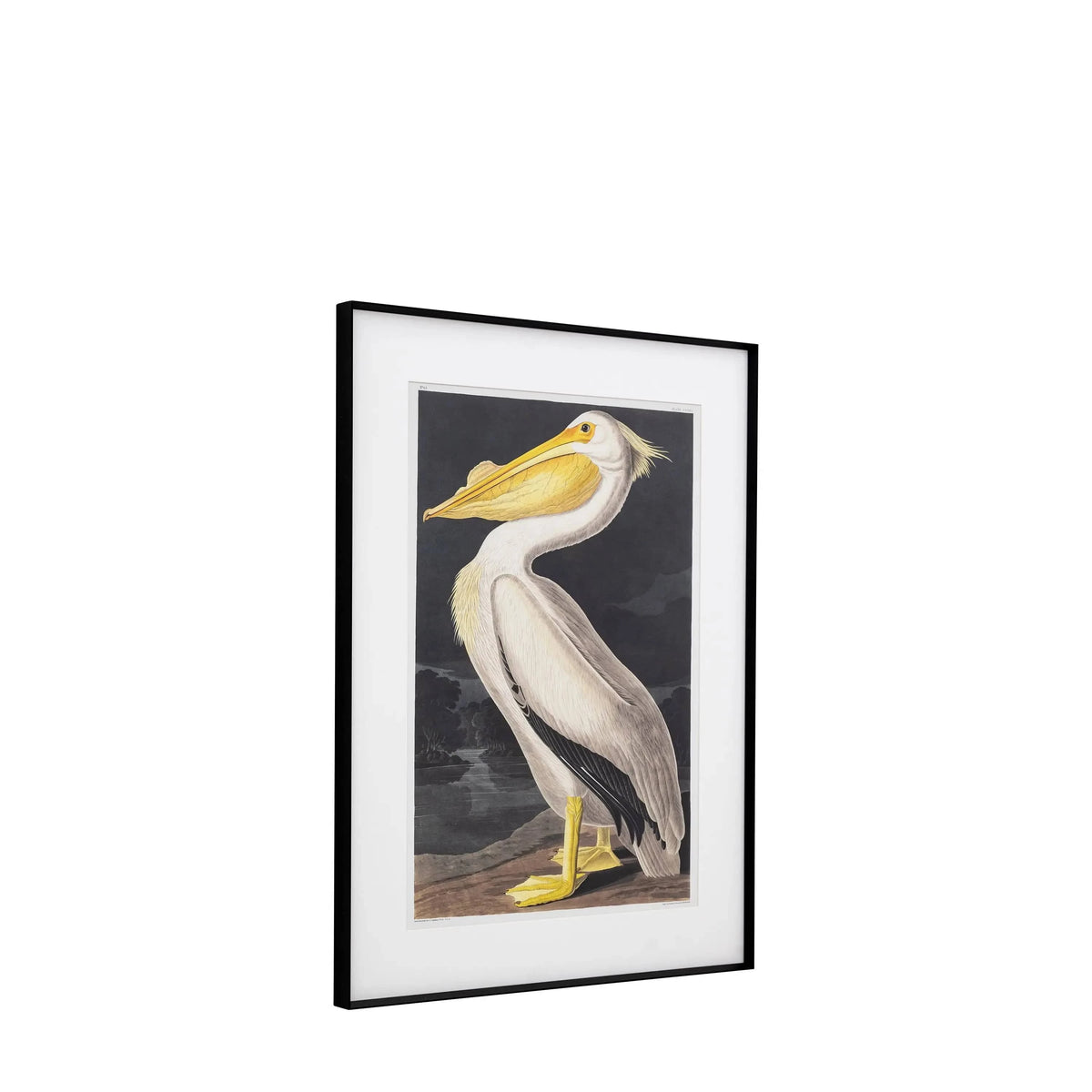 Bodhi Accessories Pellicano Framed Art House of Isabella UK