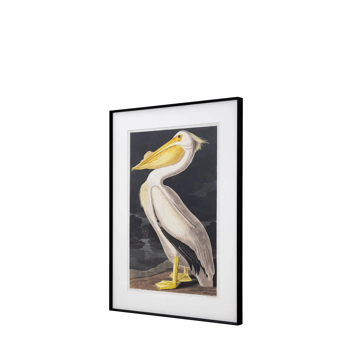 Bodhi Accessories Pellicano Framed Art House of Isabella UK