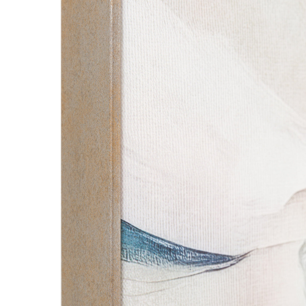 Bodhi Accessories Petal Poetry Framed Canvas House of Isabella UK