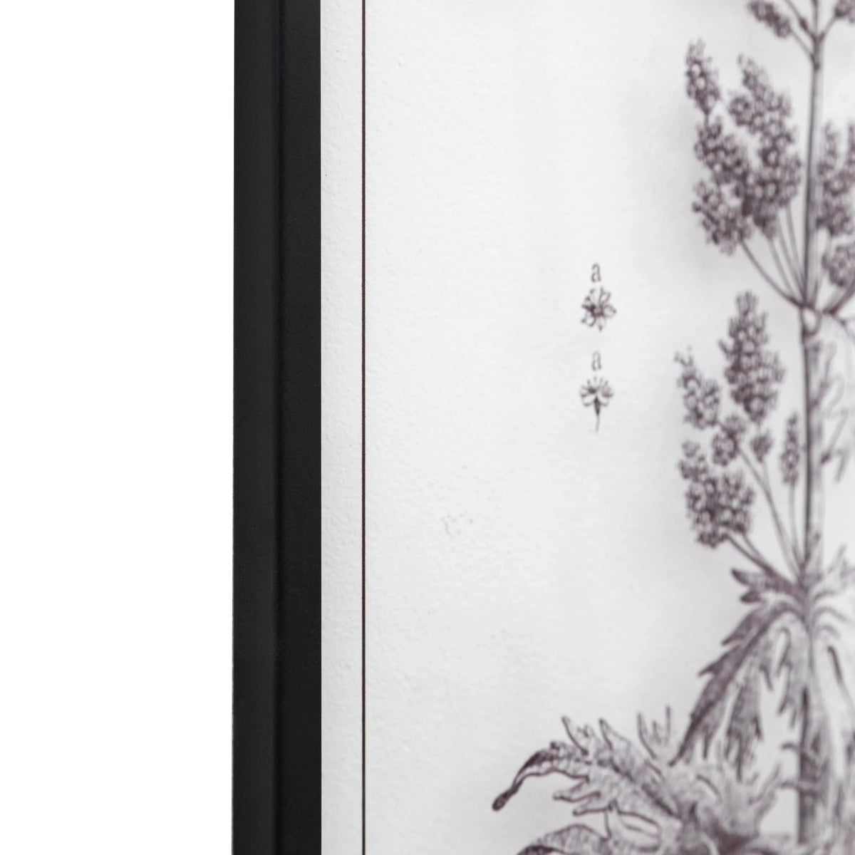 Bodhi Accessories Petiole Art Set of 2 House of Isabella UK