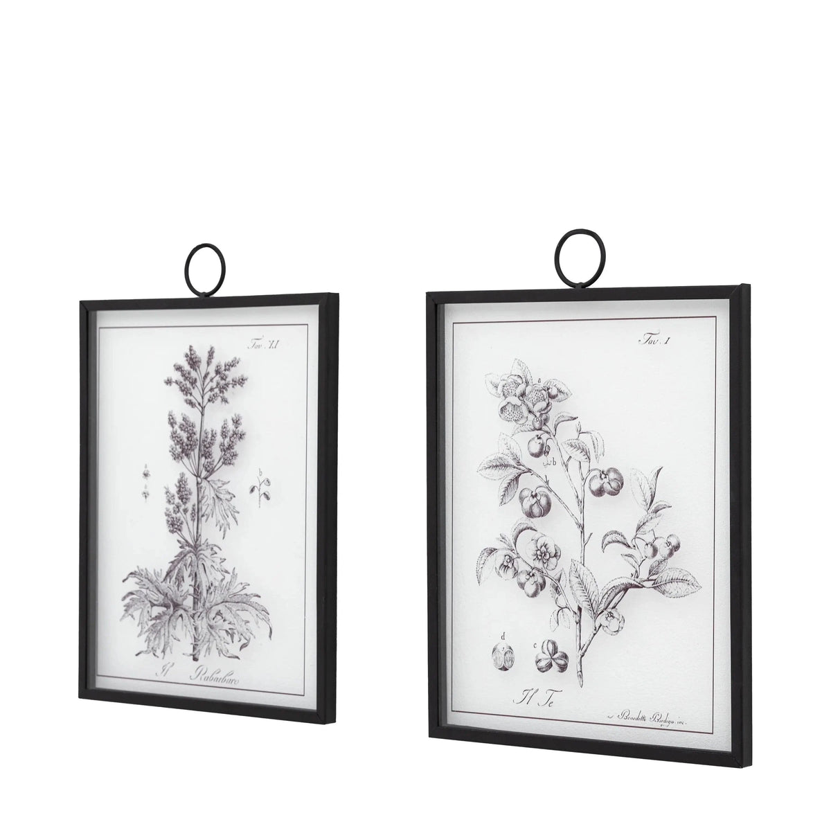Bodhi Accessories Petiole Art Set of 2 House of Isabella UK