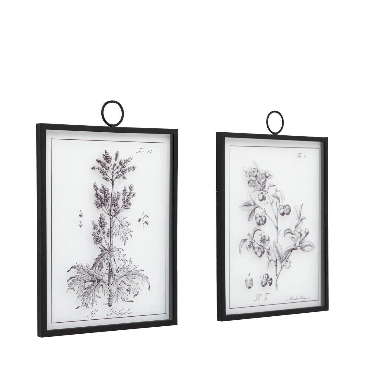 Bodhi Accessories Petiole Art Set of 2 House of Isabella UK