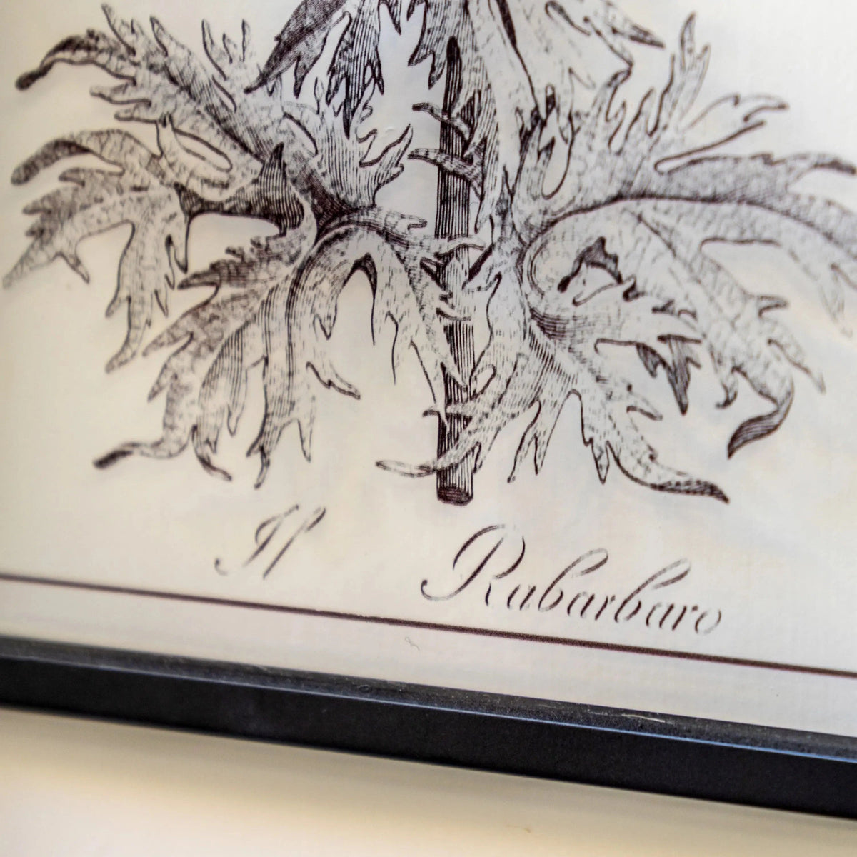 Bodhi Accessories Petiole Art Set of 2 House of Isabella UK