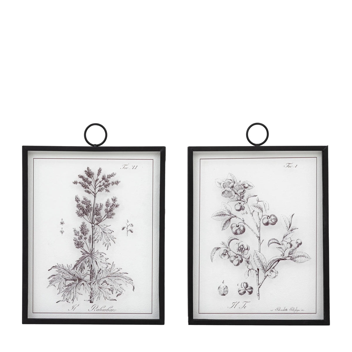 Bodhi Accessories Petiole Art Set of 2 House of Isabella UK