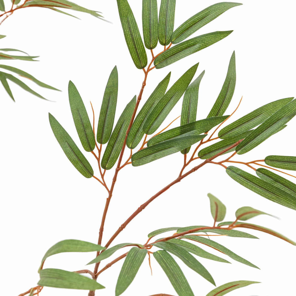 Bodhi Accessories Potted Bamboo Tree Large House of Isabella UK