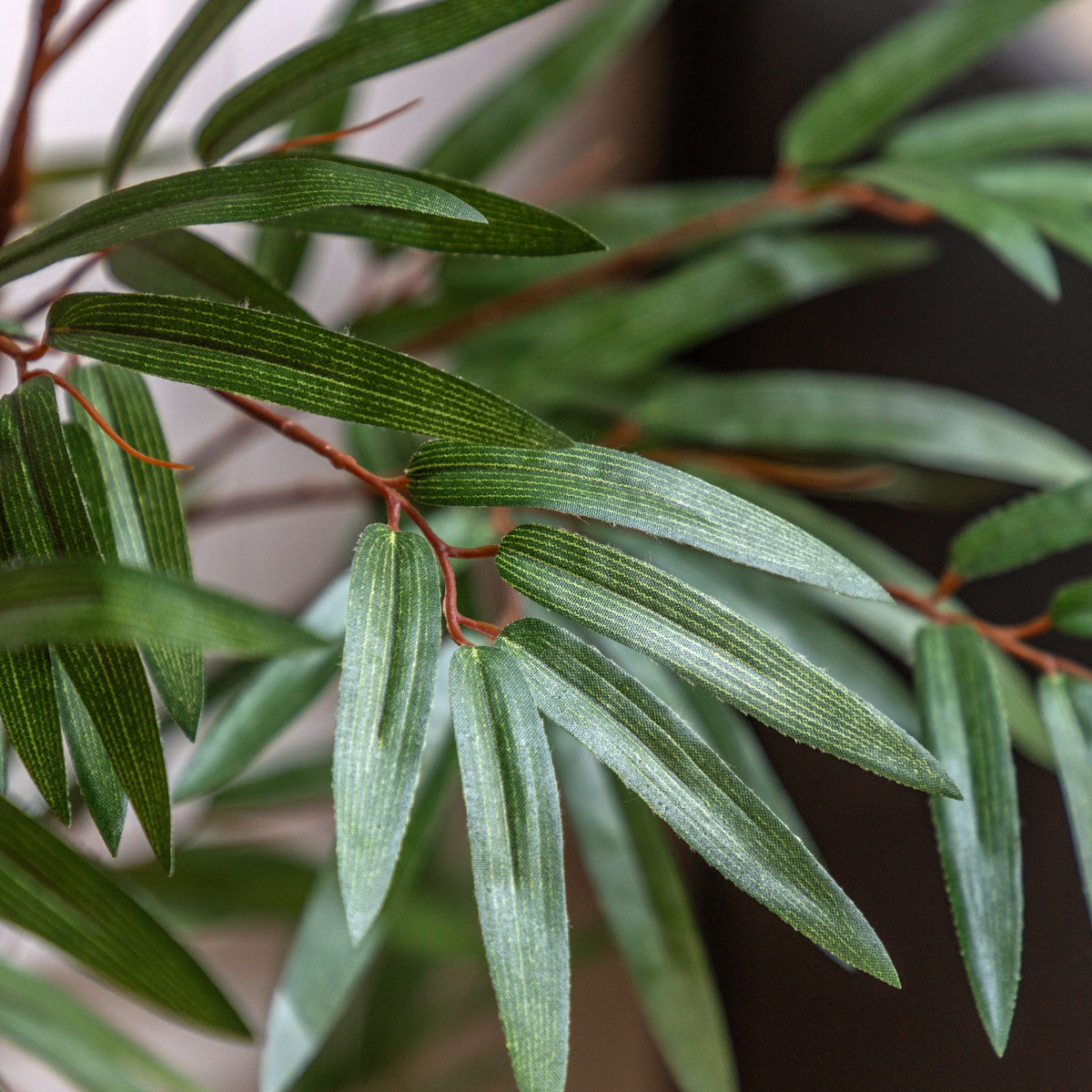 Bodhi Accessories Potted Bamboo Tree Small House of Isabella UK