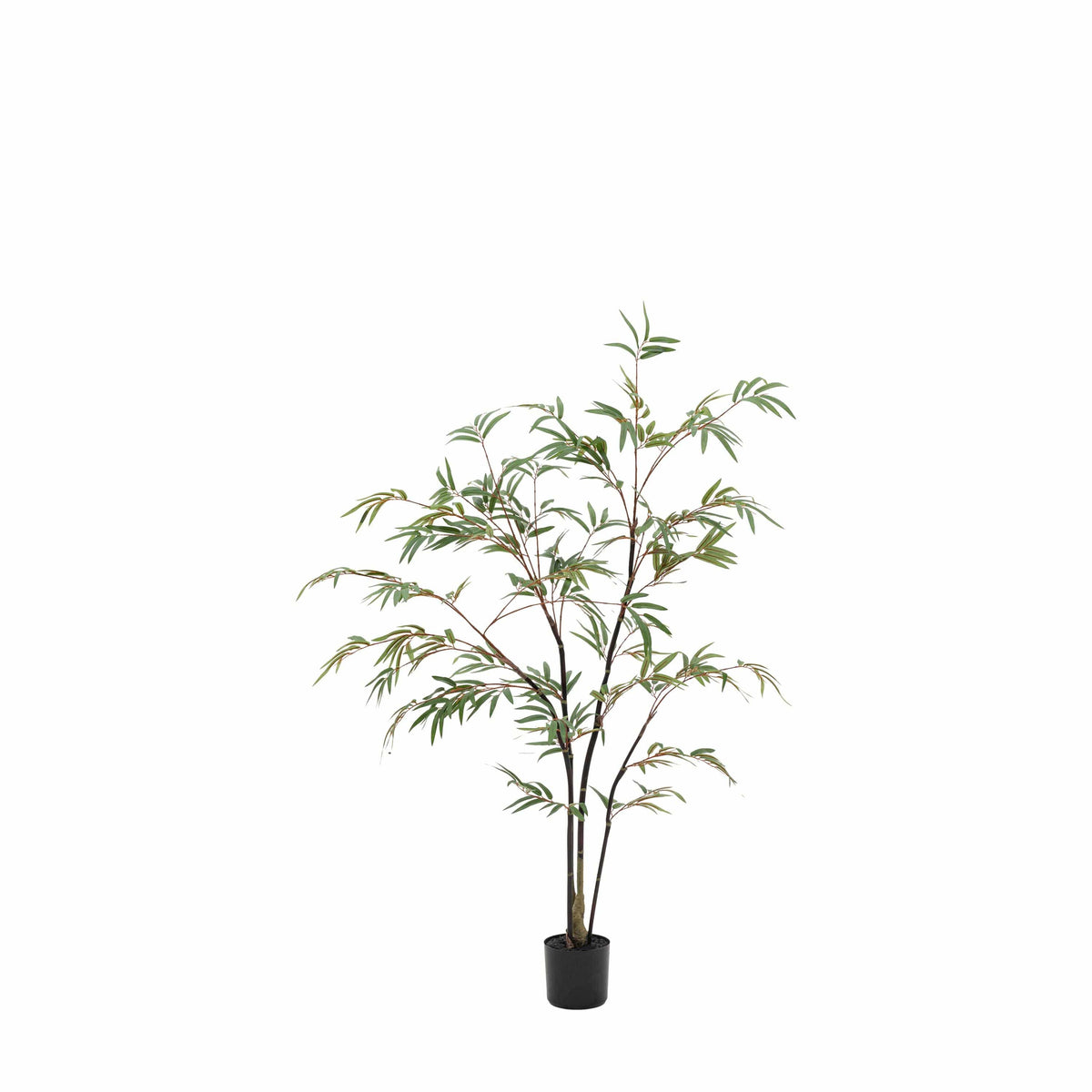 Bodhi Accessories Potted Bamboo Tree Small House of Isabella UK