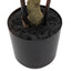 Bodhi Accessories Potted Bamboo Tree Small House of Isabella UK