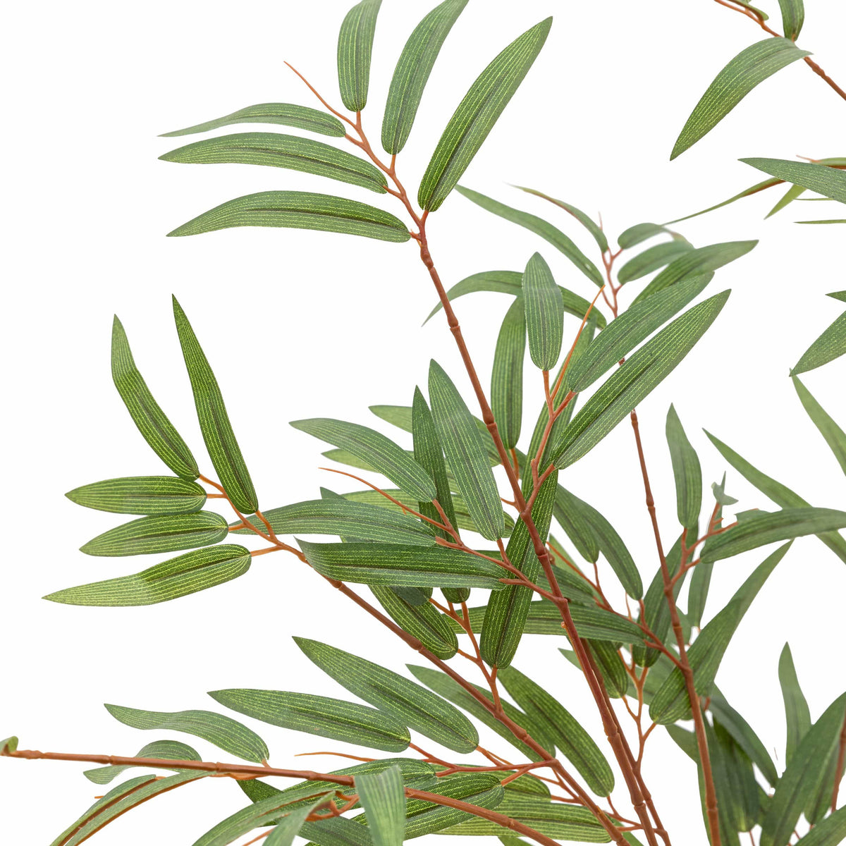 Bodhi Accessories Potted Bamboo Tree Small House of Isabella UK