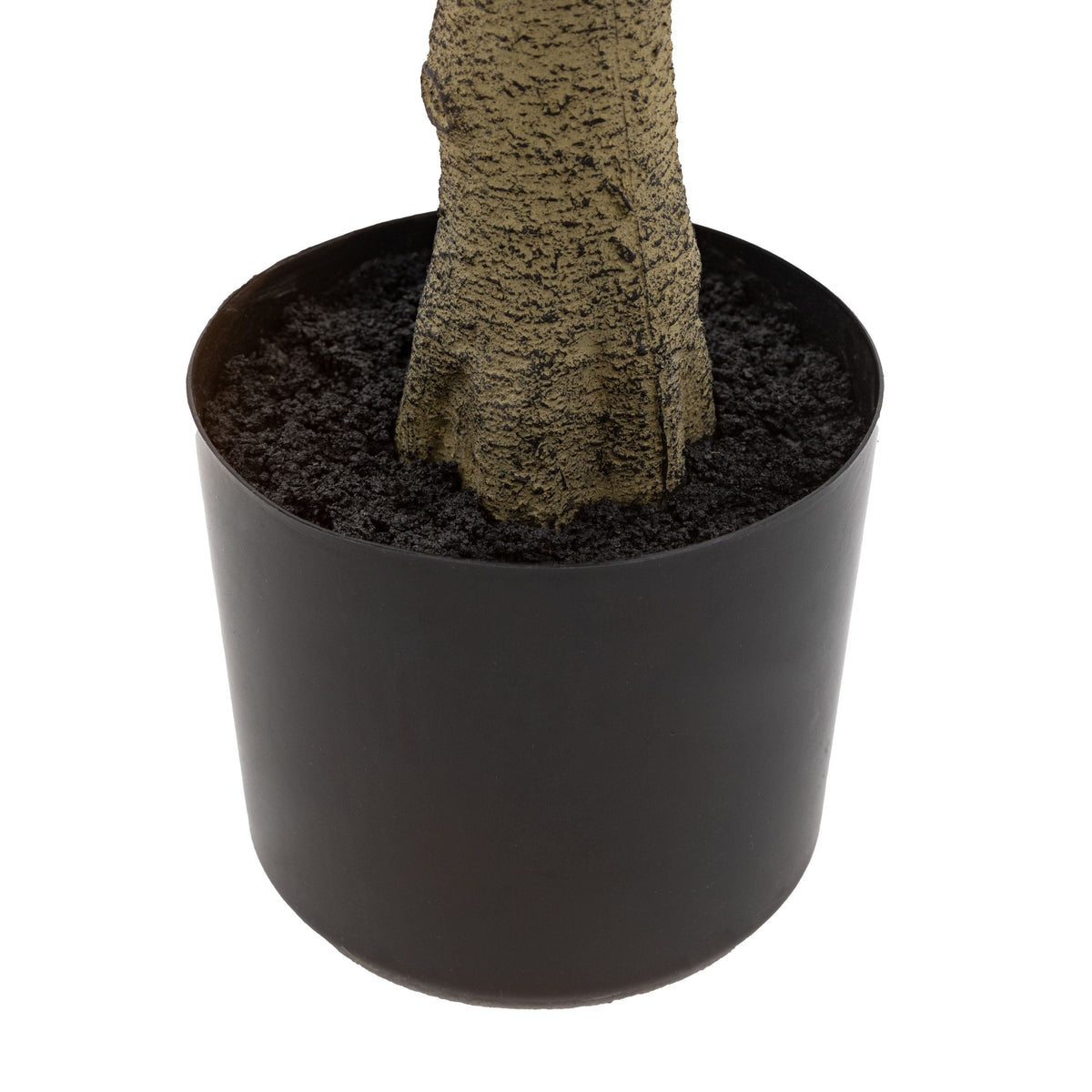 Bodhi Accessories Potted Chinese White Olive Tree Large House of Isabella UK