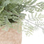Bodhi Accessories Potted Fern 35cm House of Isabella UK