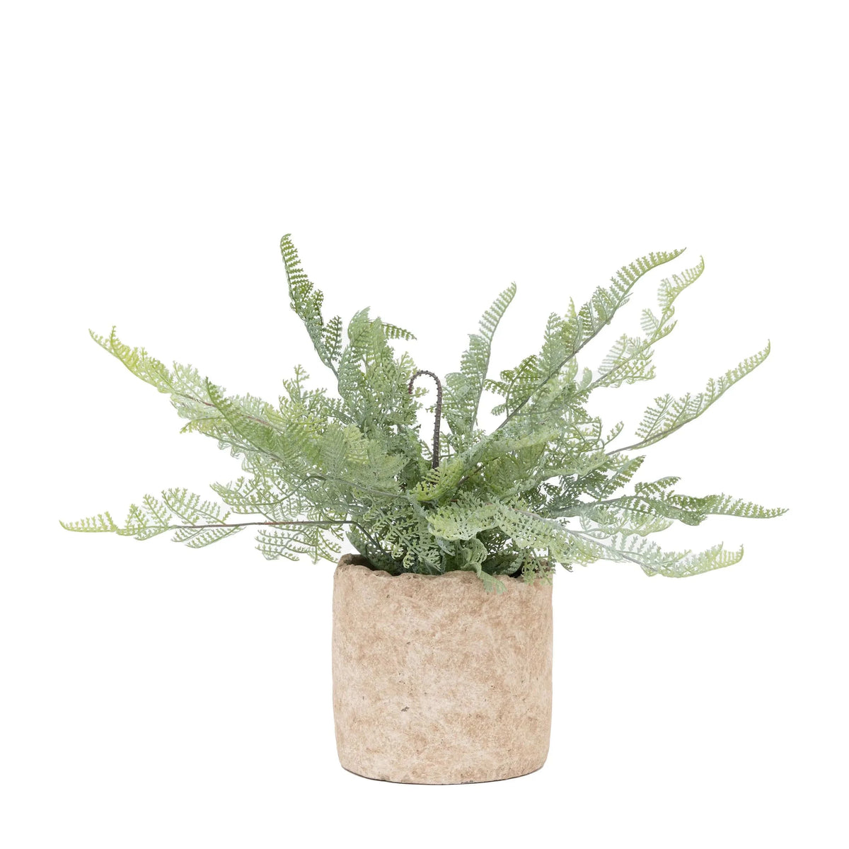 Bodhi Accessories Potted Fern 35cm House of Isabella UK