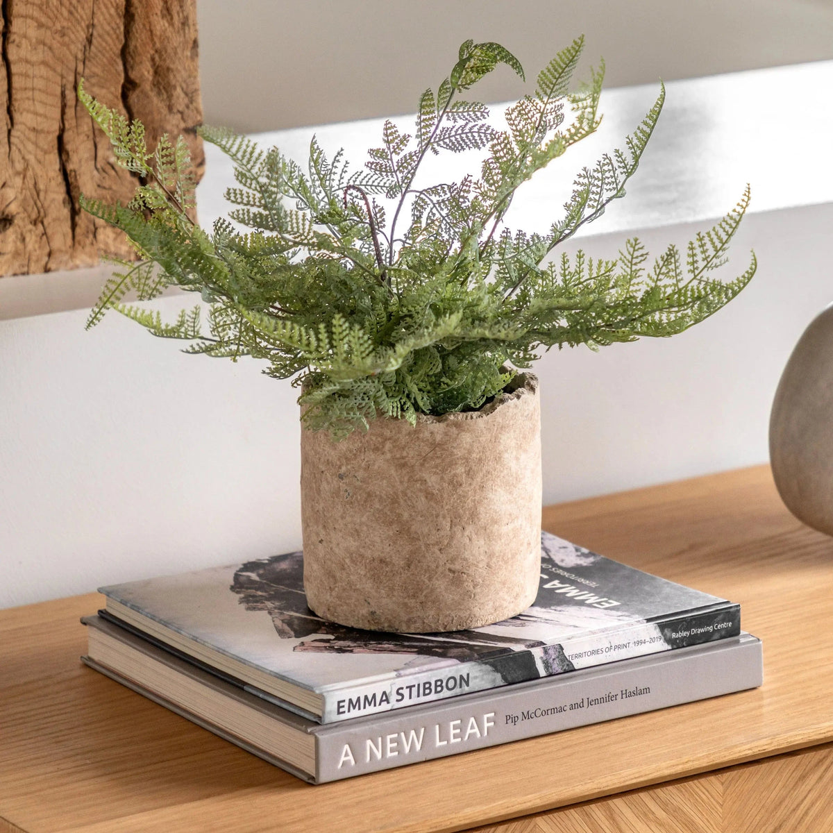 Bodhi Accessories Potted Fern 35cm House of Isabella UK