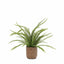 Bodhi Accessories Potted Fern Plant Large House of Isabella UK