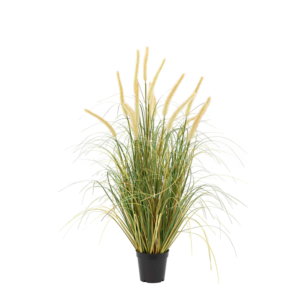 Bodhi Accessories Potted Grass with Cattail Seed Heads 5pk Medium House of Isabella UK