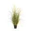 Bodhi Accessories Potted Grass with Cattail Seed Heads Small House of Isabella UK
