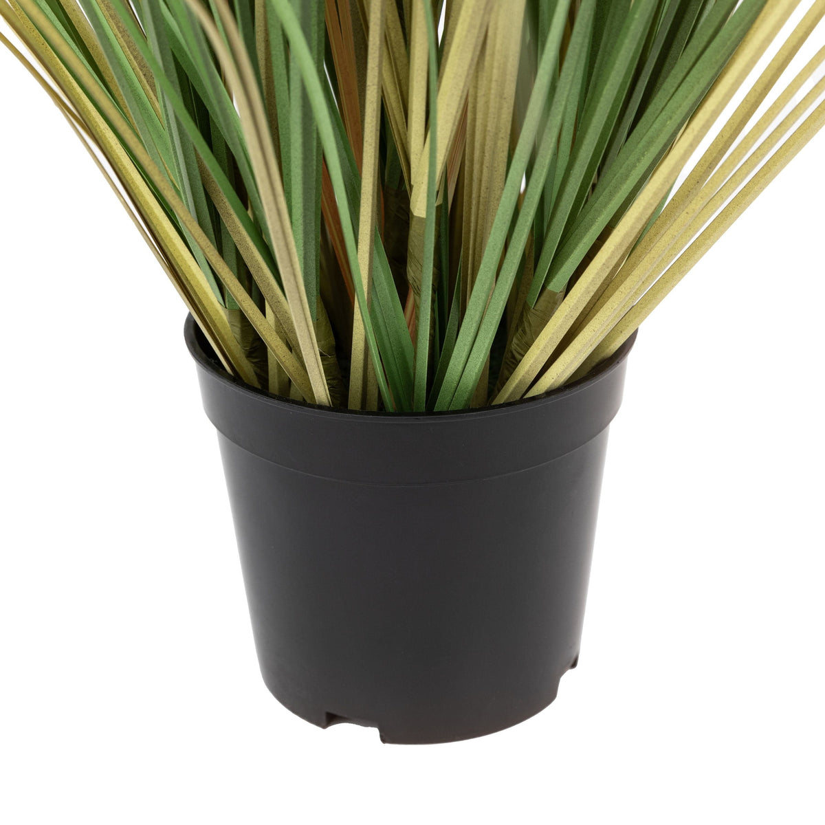 Bodhi Accessories Potted Grass with Cattail Seed Heads Small House of Isabella UK