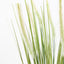 Bodhi Accessories Potted Grass with Feathered Wildflower House of Isabella UK