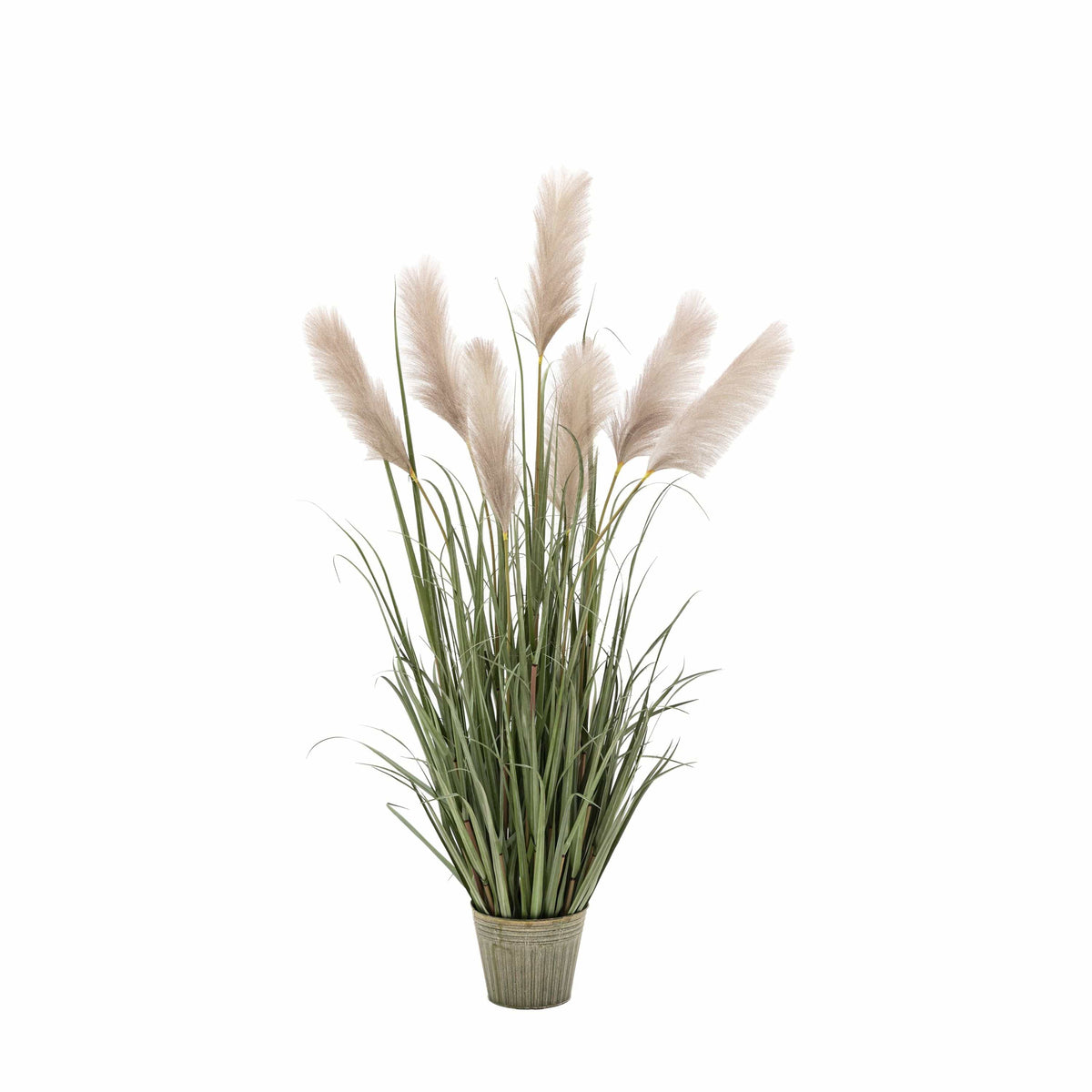 Bodhi Accessories Potted Grass with Pampas Seed Heads 5pk Large House of Isabella UK