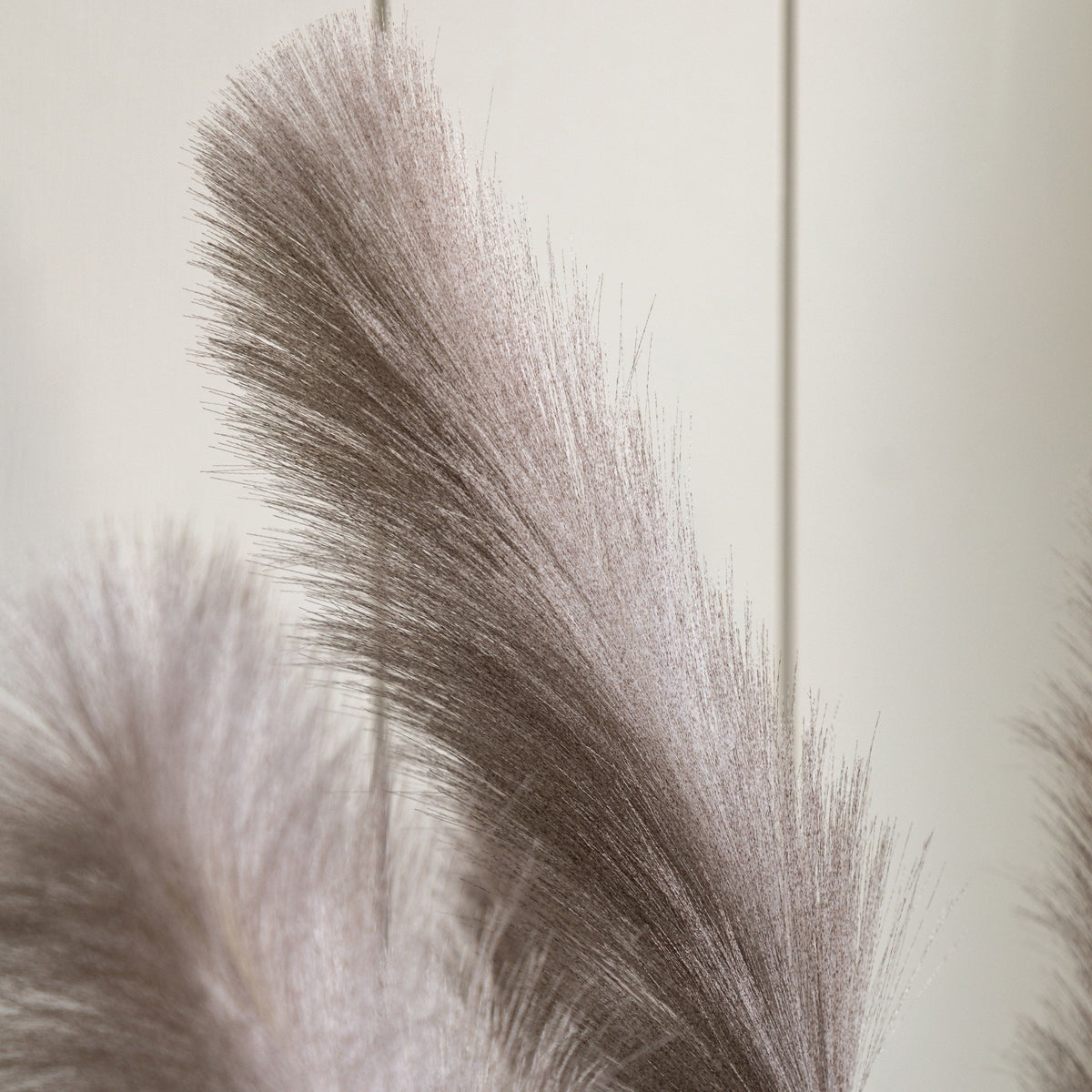 Bodhi Accessories Potted Grass with Pampas Seed Heads 5pk Medium House of Isabella UK